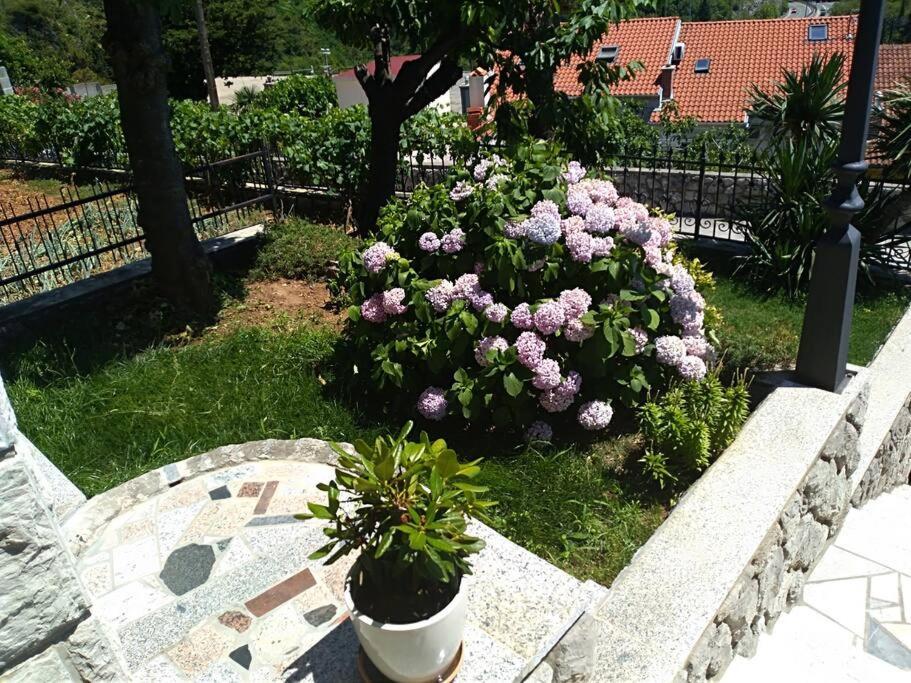 Apartment Mediterranean Garden غييكا المظهر الخارجي الصورة