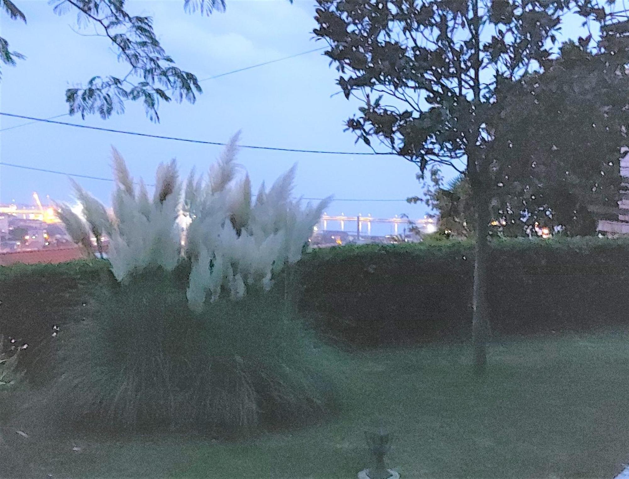 Apartment Mediterranean Garden غييكا المظهر الخارجي الصورة