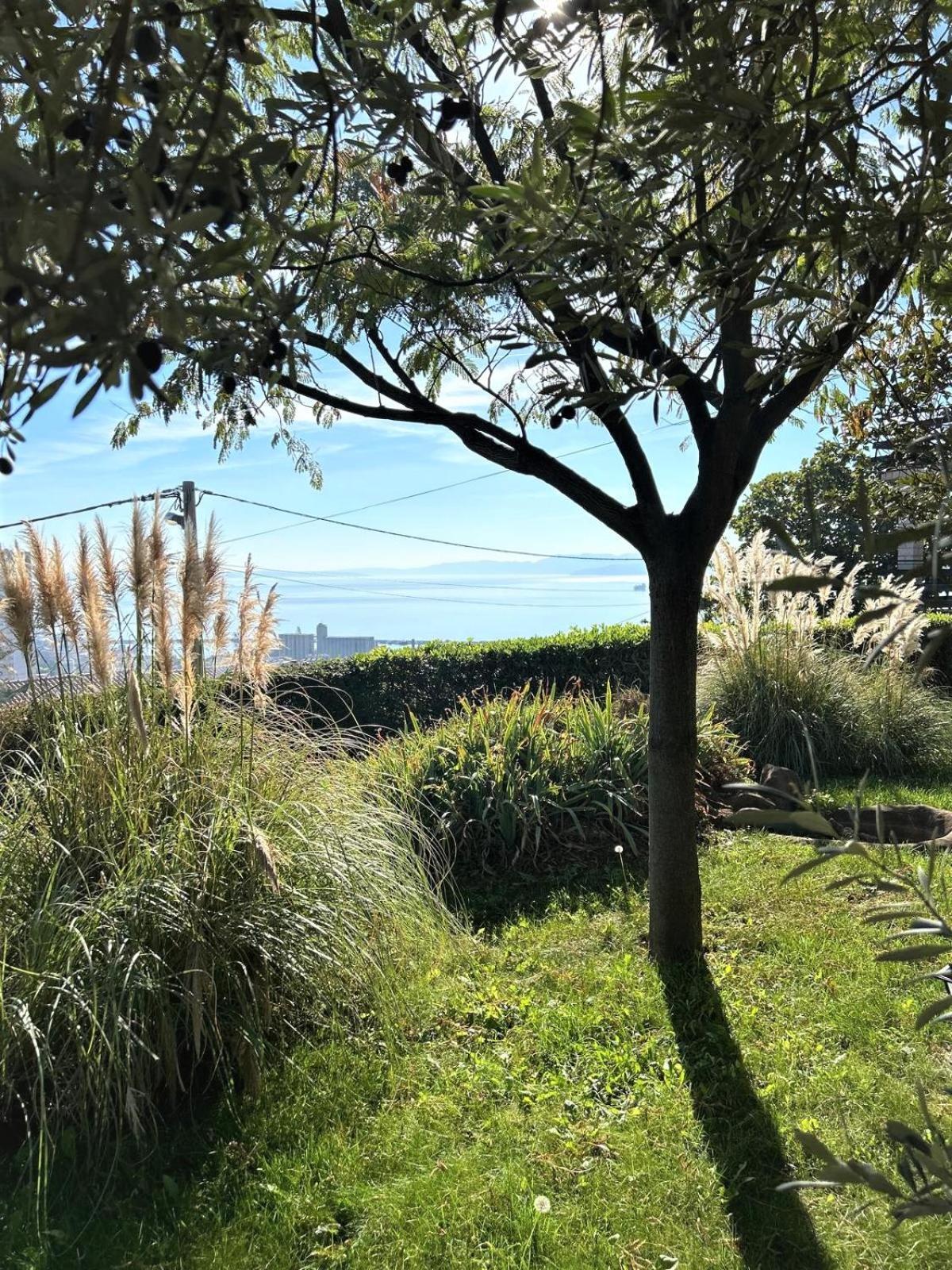 Apartment Mediterranean Garden غييكا المظهر الخارجي الصورة