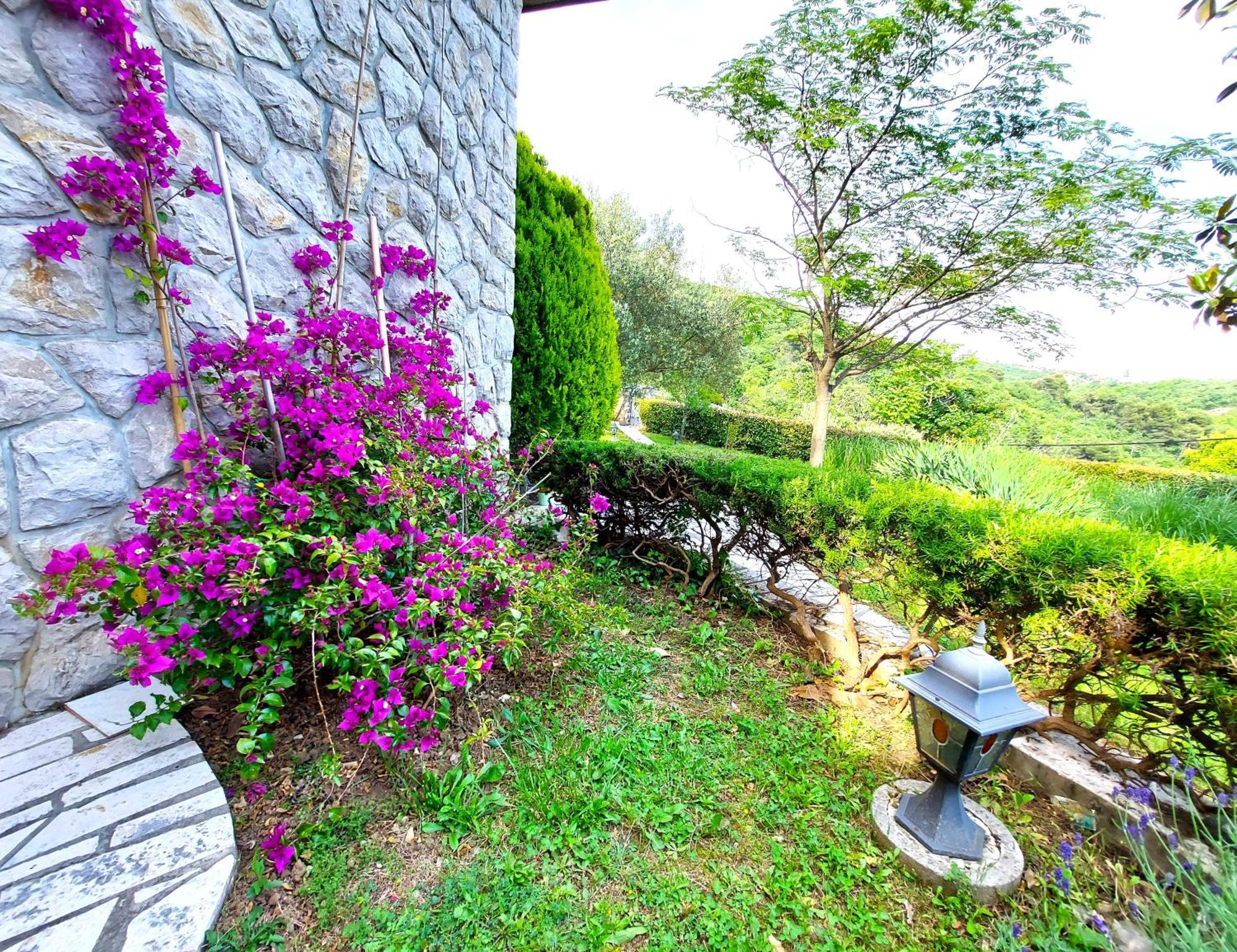 Apartment Mediterranean Garden غييكا المظهر الخارجي الصورة